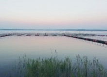 Бестер Плюс — Група компаній АСПЕКТ